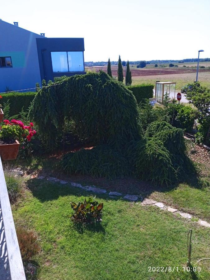 Apartments Ribic أوماغ المظهر الخارجي الصورة