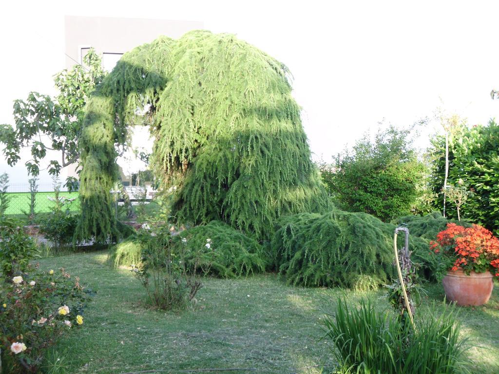 Apartments Ribic أوماغ الغرفة الصورة