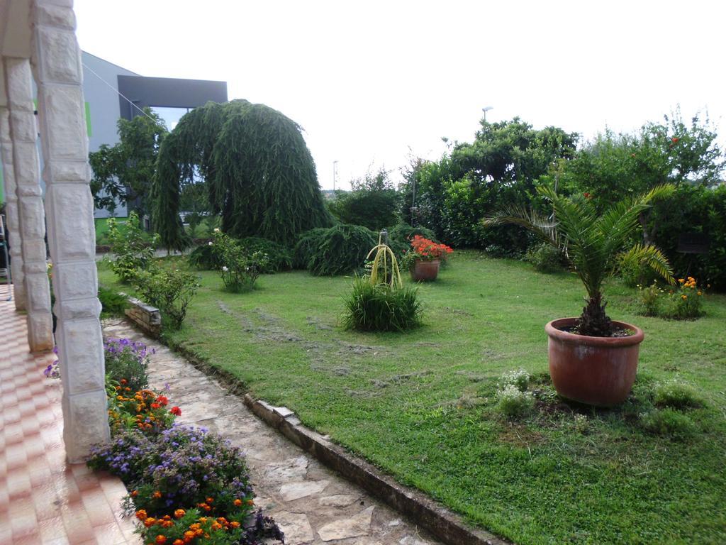Apartments Ribic أوماغ الغرفة الصورة